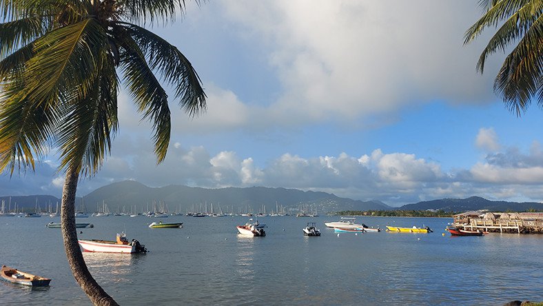 martinique